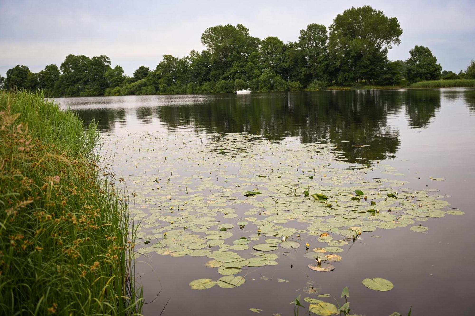 Ferienpark Suederstapel - Eiderlodge 3 Ngoại thất bức ảnh